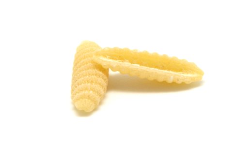 Malloredus2