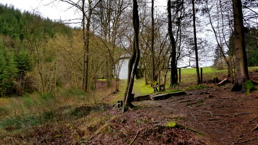 Malmedy-Ermitage Saint Antoine (9)