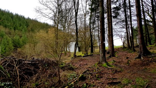 Malmedy-Ermitage Saint Antoine (10)