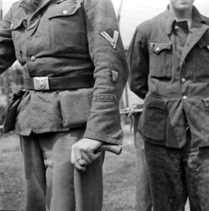 Man in het uniform van het Freiwilligen Legion Niederlande, Bestanddeelnr 900-3412