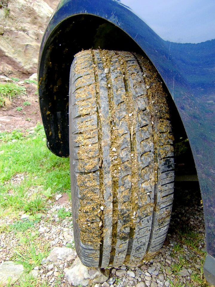 Mature rubber mature age