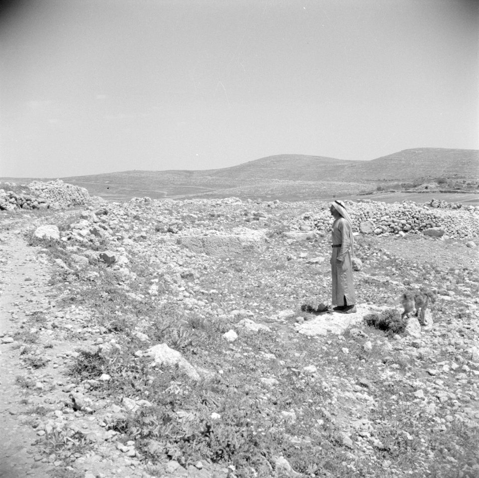 Man in landschap langs de weg van Bethlehem naar Hebron, Bestanddeelnr 255-5501