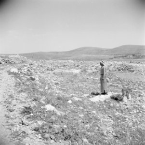 Man in landschap langs de weg van Bethlehem naar Hebron, Bestanddeelnr 255-5501