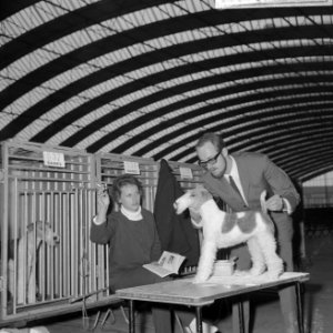 Man en vrouw terwijl ze een hond demonstreren, Bestanddeelnr 918-3860