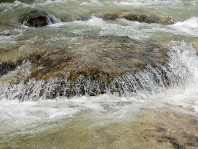 Creek nature clear