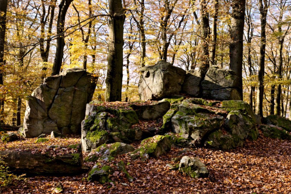 Malberg Westerwaldkreis top