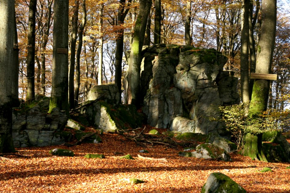 Malberg Westerwaldkreis top (06)
