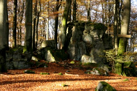 Malberg Westerwaldkreis top (06)