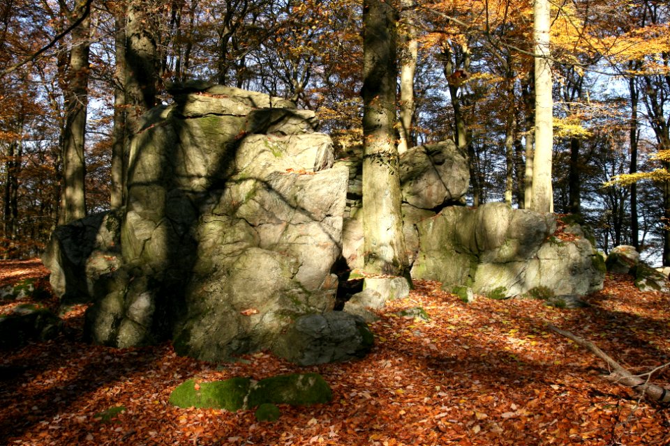 Malberg Westerwaldkreis top (05)
