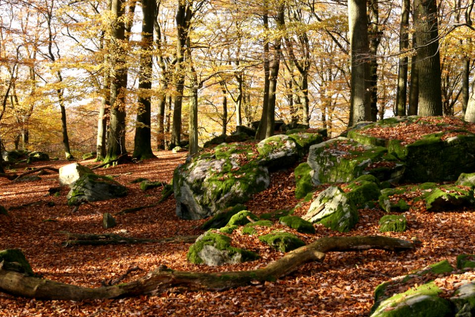 Malberg Westerwaldkreis top (04)