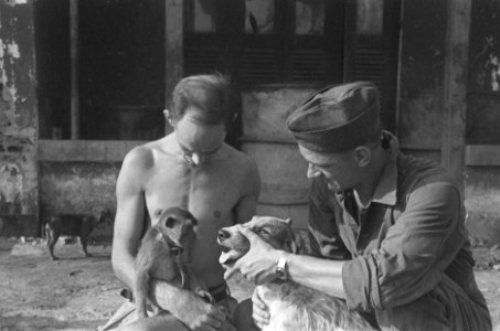 Man en militair met hond en aap, Bestanddeelnr 46-6-5