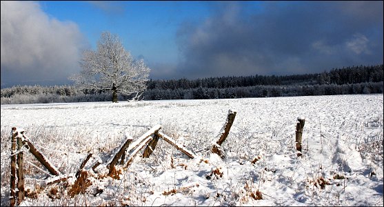 Malchamps Belgium (215148135)