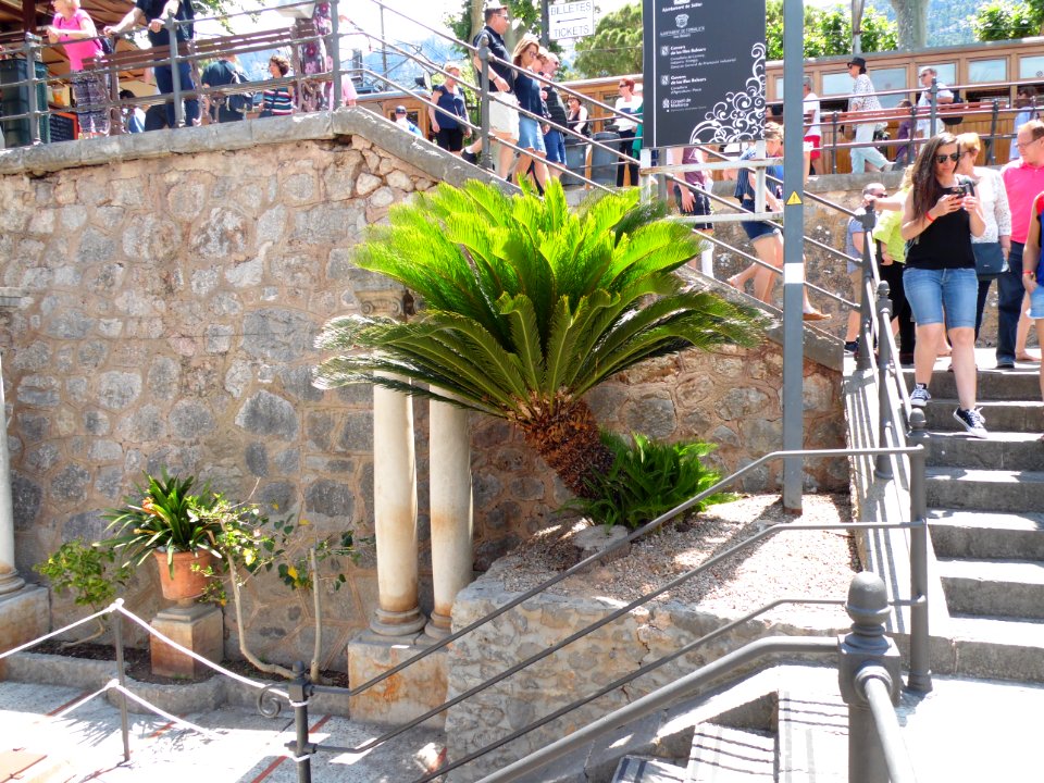 MAJORKA-FERROCARRIL DE SOLLER, AB-114
