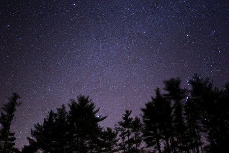 Silhouette sky stars photo