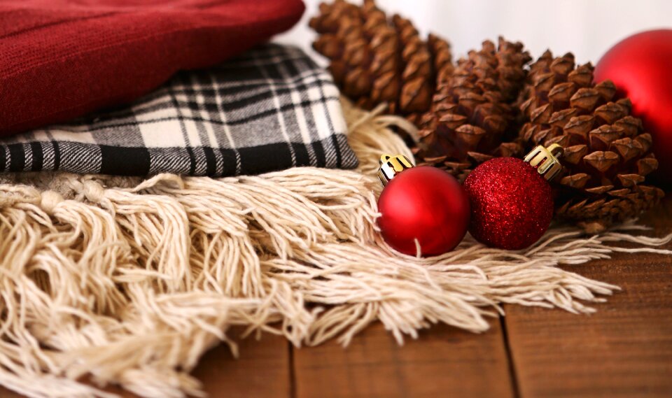 Pine cone rustic holiday photo