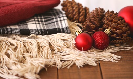 Pine cone rustic holiday photo