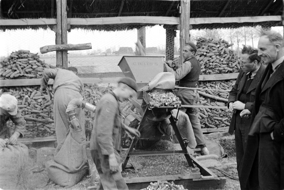 Maisteelt en tabaksteelt, arbeiders, dorsen, dorsmachines, Red Cross, Bestanddeelnr 170-0641