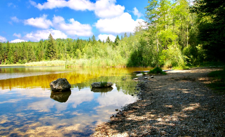 Maistättenweiher im Sommer