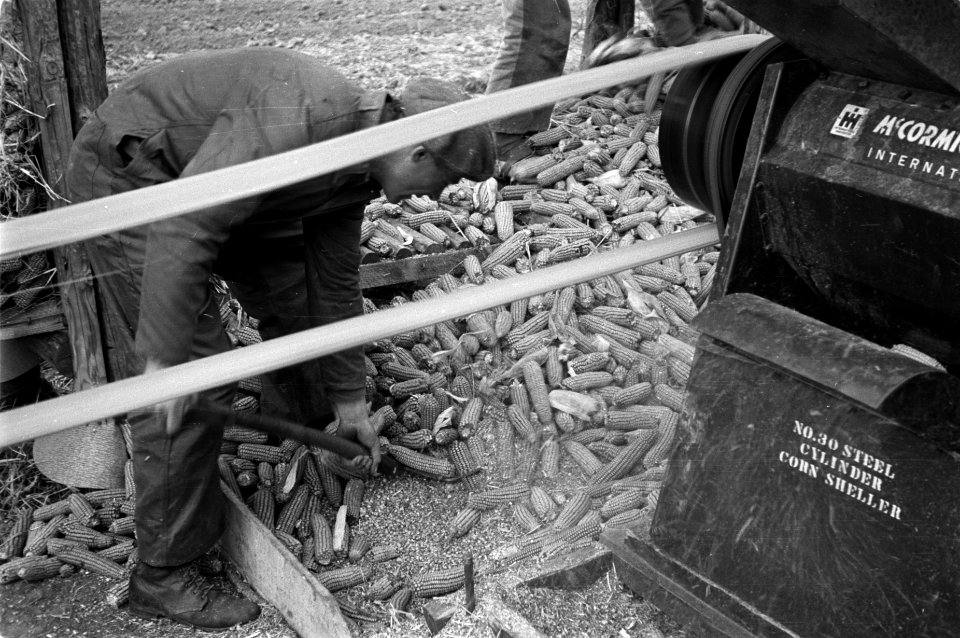 Maisteelt en tabaksteelt, dorsen, dorsmachines, Mc Cormick-Deering, Bestanddeelnr 170-0653