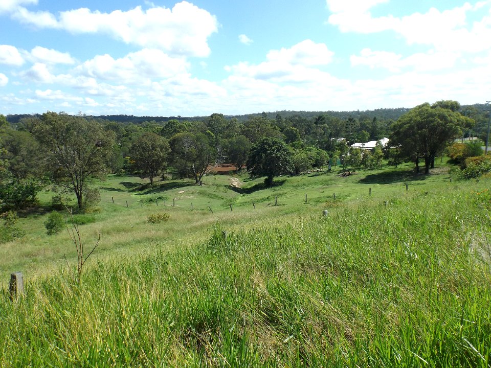 Majella Crescent at Bahrs Scrub, Queensland 2