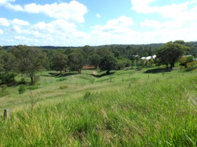 Majella Crescent at Bahrs Scrub, Queensland 2