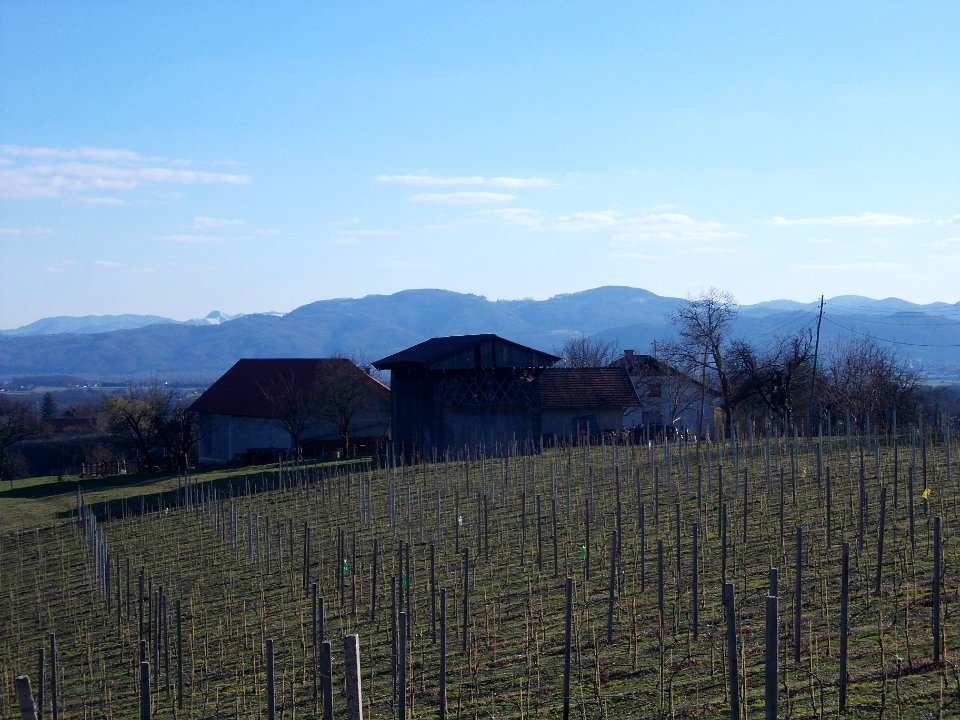 Mali Vrh, Brežice 17