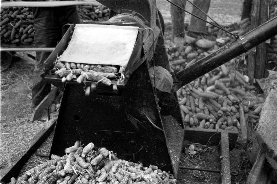 Maisteelt en tabaksteelt, dorsen, dorsmachines, Mc Cormick-Deering, Bestanddeelnr 170-0652