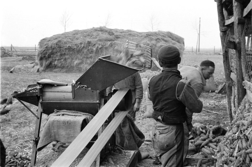 Maisteelt en tabaksteelt, arbeiders, dorsen, dorsmachines, Red Cross, Bestanddeelnr 170-0640