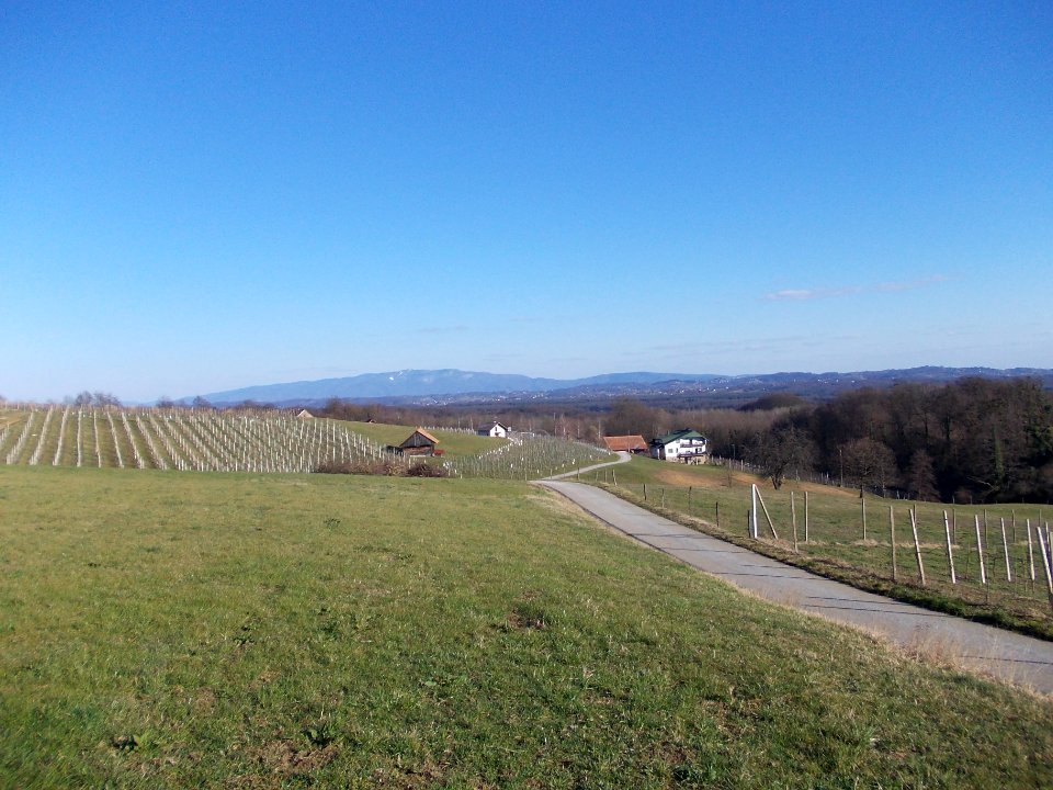 Mali Vrh, Brežice 18