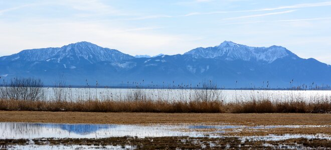 Bavaria mountains reed photo