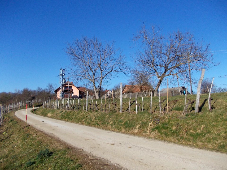 Mali Vrh, Brežice 08