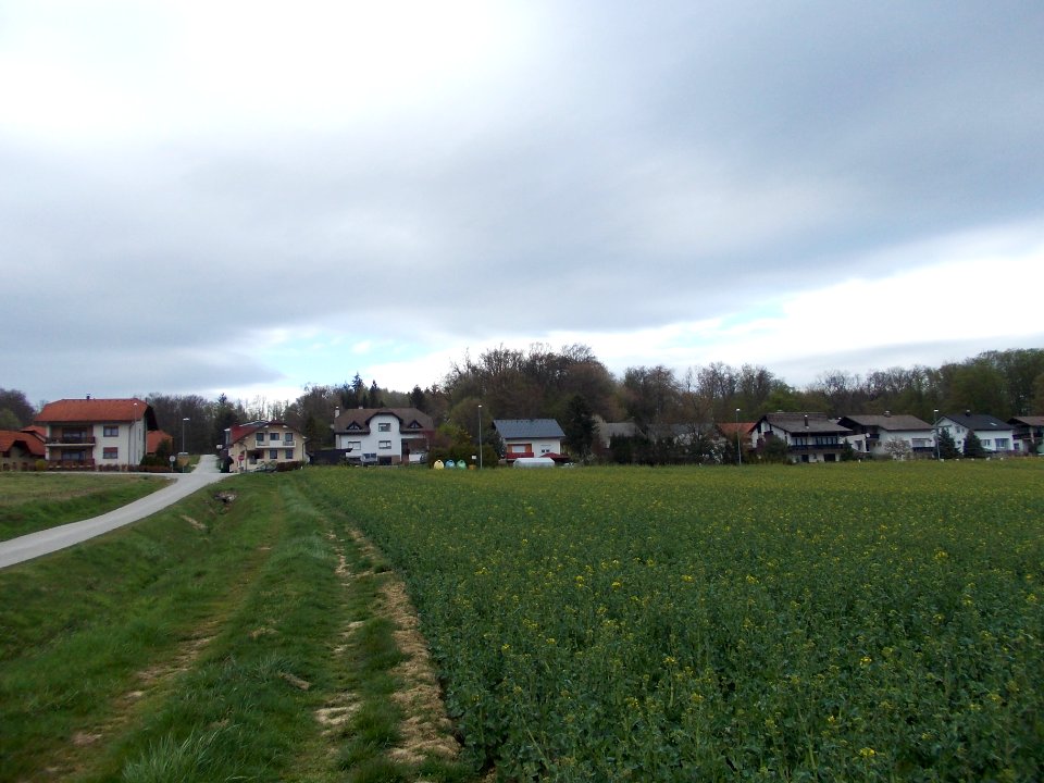 Mali Vrh, Brežice 36