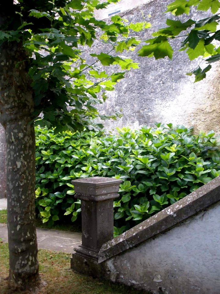 Maliaño (Camargo) - Convento de las Carmelitas Descalzas 7