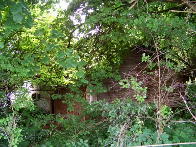 Mallersdorf-Superior-von-der-Sitt-Straße-7