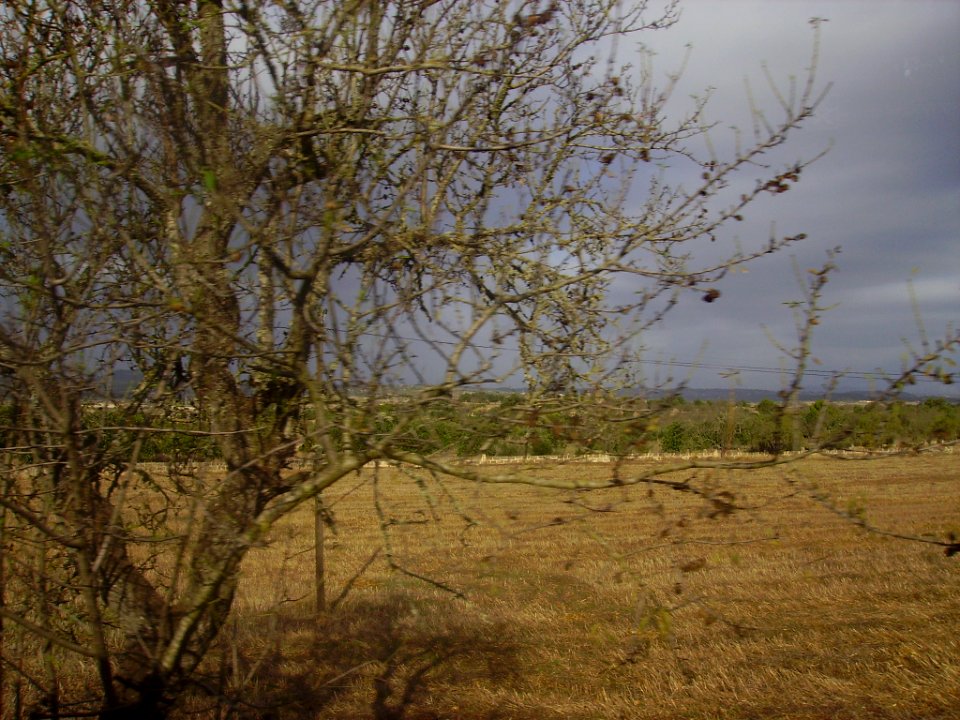 Mallorca Landschaft 1