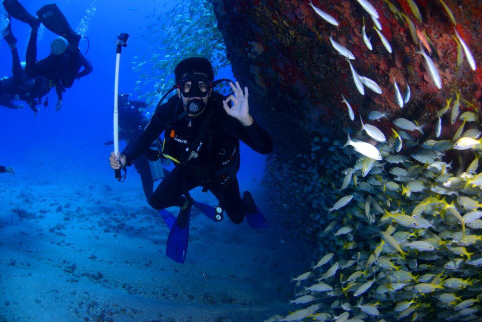At the bottom of the ocean passion diver