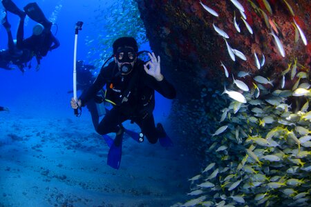 At the bottom of the ocean passion diver