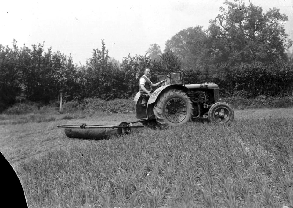 Man with tractor and roller (1294550)