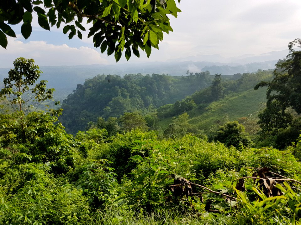 Mangima Canyon at Maluko, Manolo Fortich, Bukidnon 07