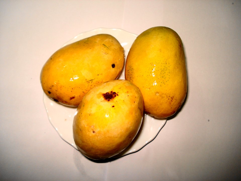 Mango Anwer Retol