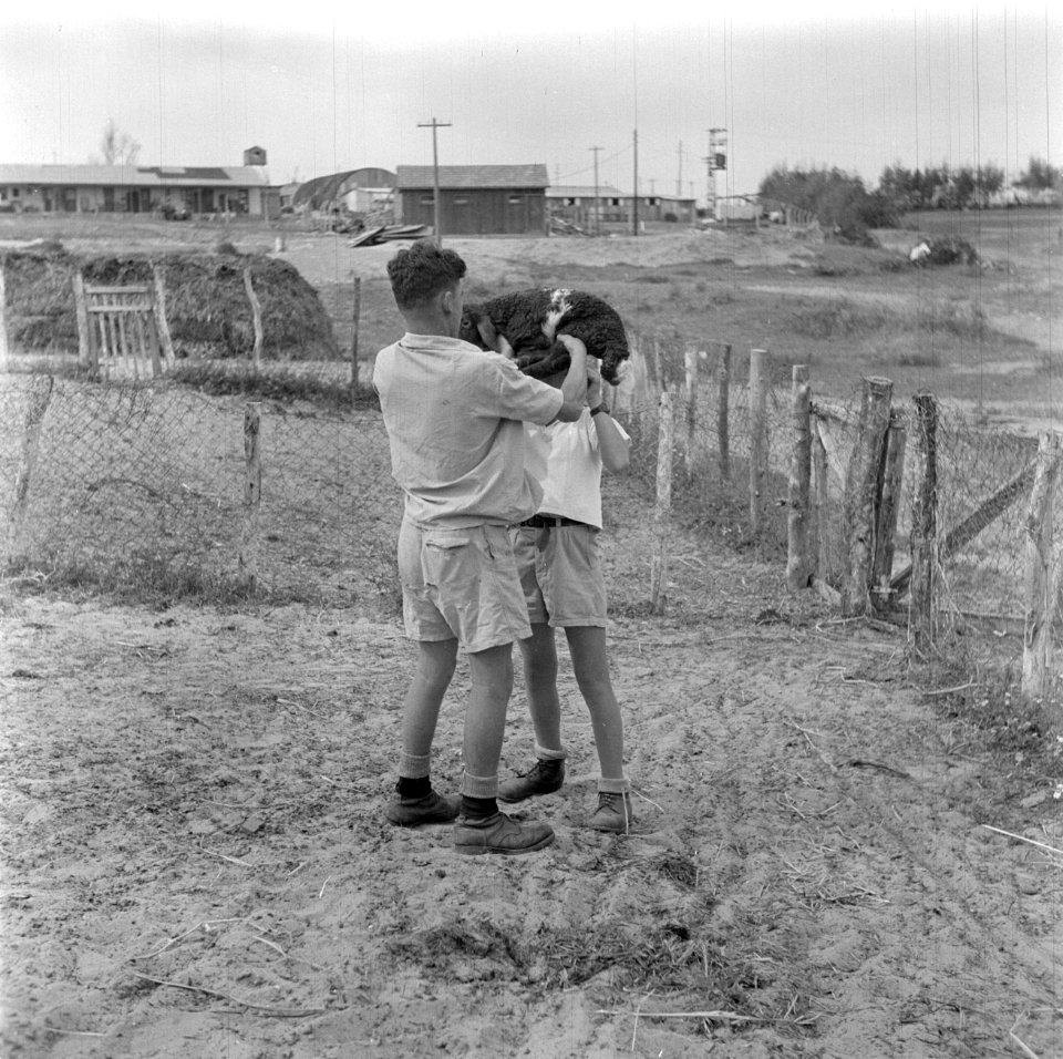Man tilt lam op de schouders van een jongen in het kinderdorp Ben Shemen, Bestanddeelnr 255-0486