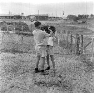 Man tilt lam op de schouders van een jongen in het kinderdorp Ben Shemen, Bestanddeelnr 255-0486
