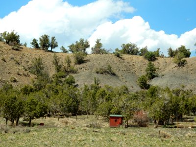 Mancos Shale at type