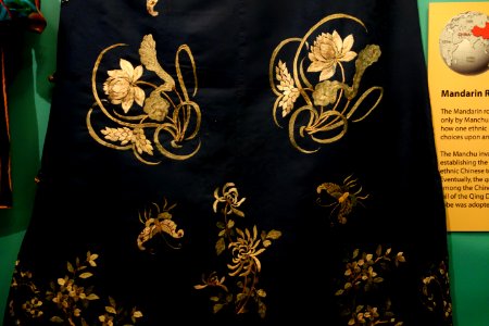 Mandarin robe, view 2, Manchu peoples, China, late 19th century, silk - Fernbank Museum of Natural History - DSC09990