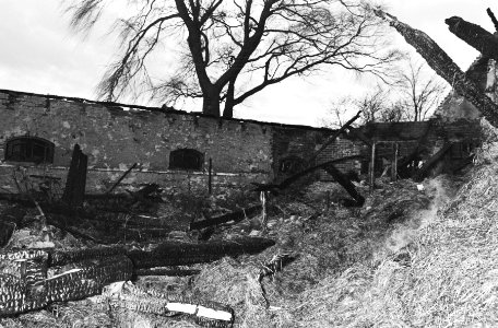 Manege Ponderosa bij Amsterdamse Bos afgebrand, Bestanddeelnr 924-1196