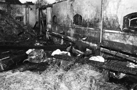 Manege Ponderosa bij Amsterdamse Bos afgebrand, Bestanddeelnr 924-1195