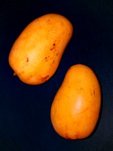 Mangoes - Massachusetts