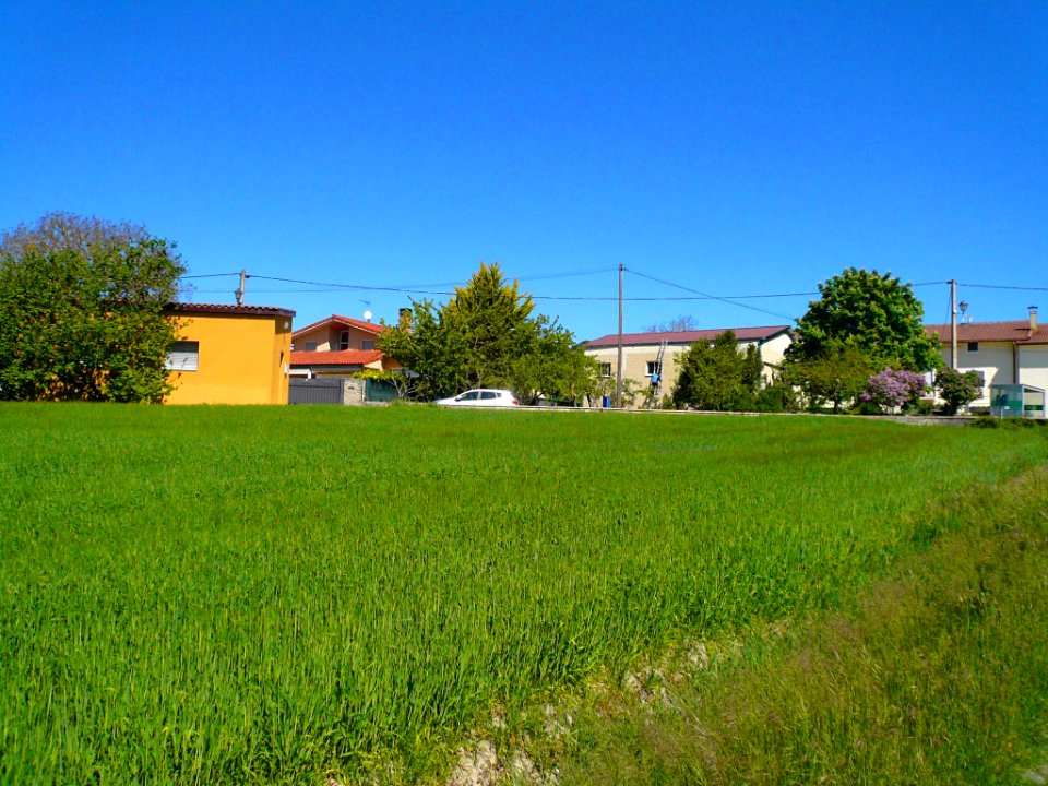 Mandojana 04b