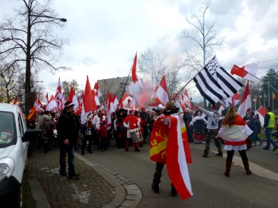Manifestation contre la réforme territoriale 13-12-2014 04