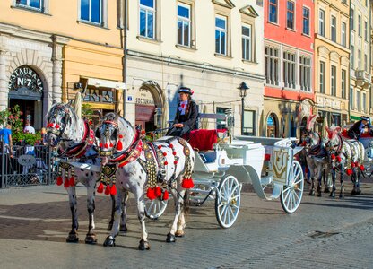 Wagon cab horse